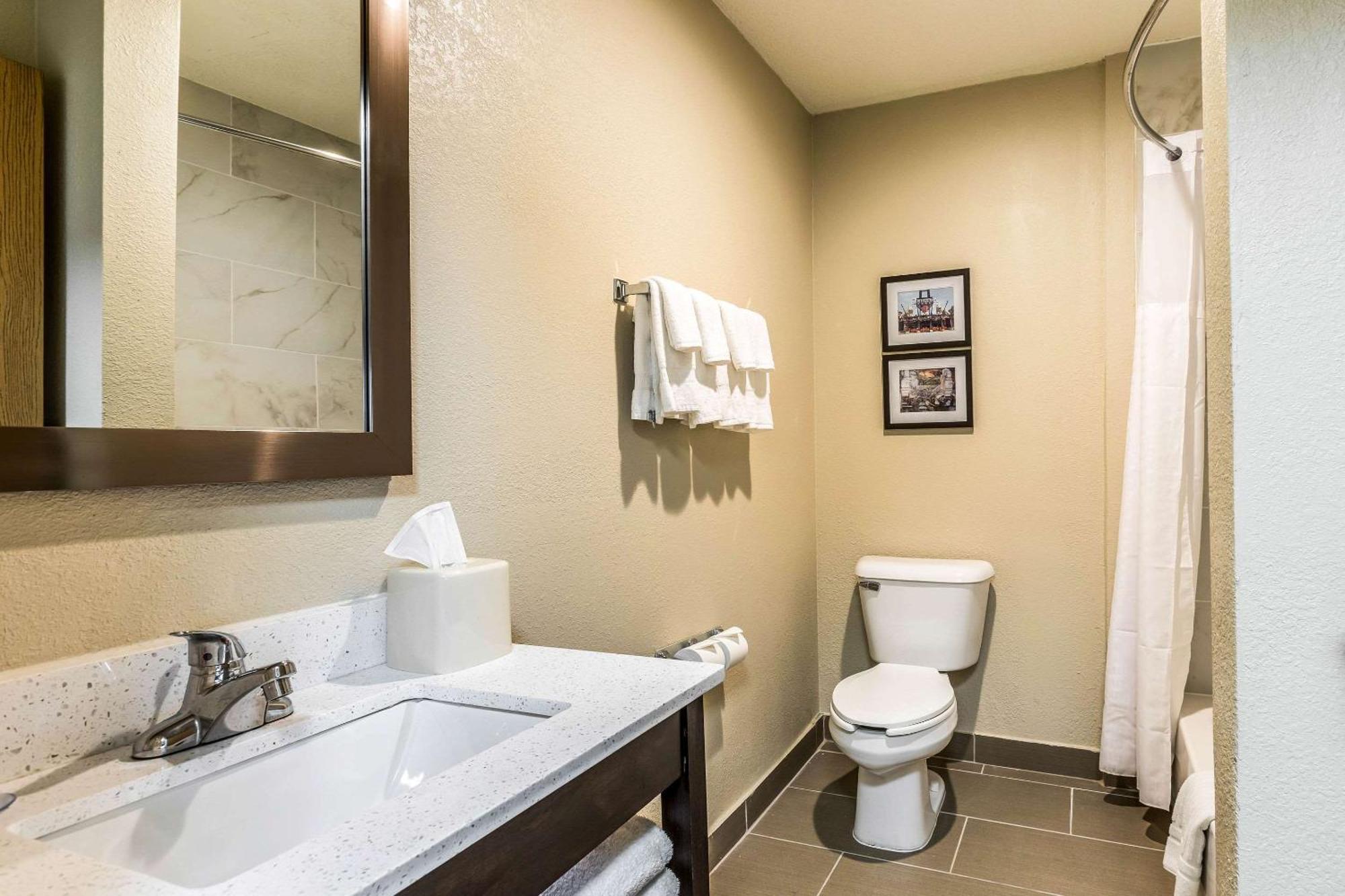Comfort Inn Downtown Detroit Eksteriør bilde